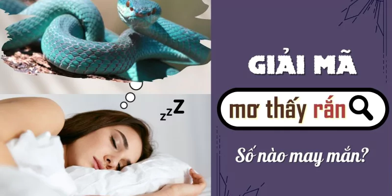 Giải mã các con đề may mắn nếu chiêm bao thấy rắn