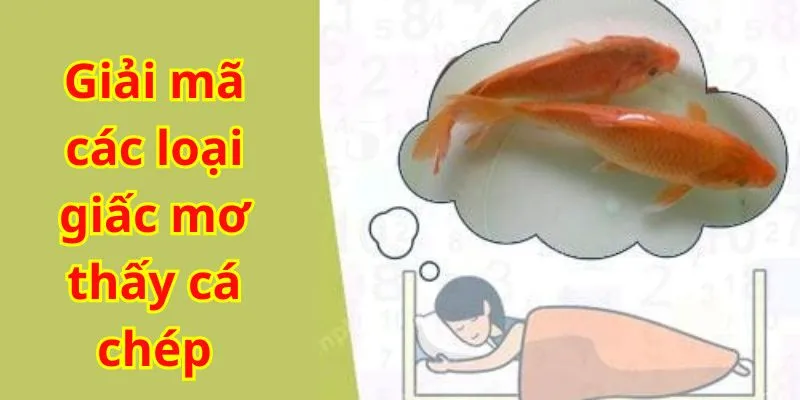 Ý nghĩa của giấc mơ tùy thuộc vào màu sắc và hành động của cá chép trong giấc mơ