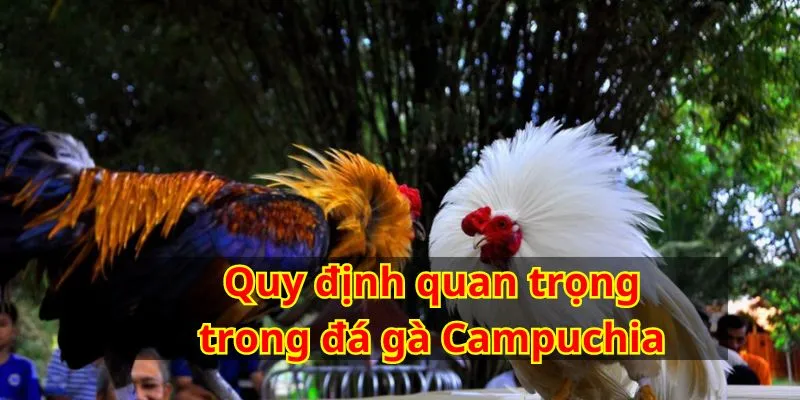 Hiểu rõ các quy định quan trọng là điều cần thiết