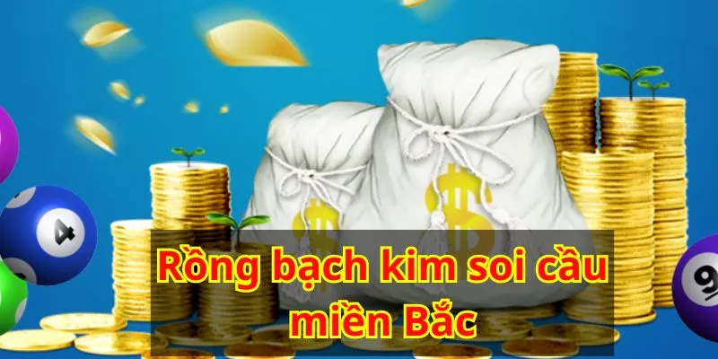 Rồng bạch kim soi cầu miền Bắc